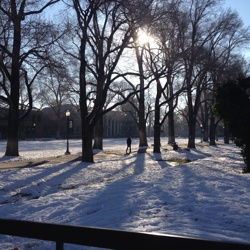 Meet your Posher, Brenda